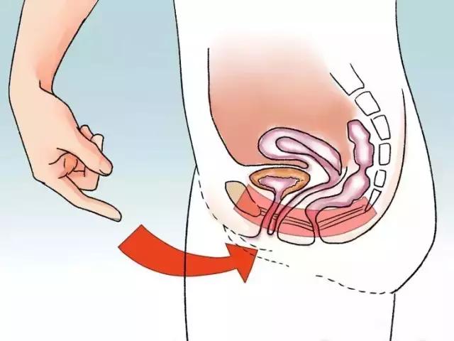 月嫂应该会的知识视频,月嫂都需要掌握哪些基本知识