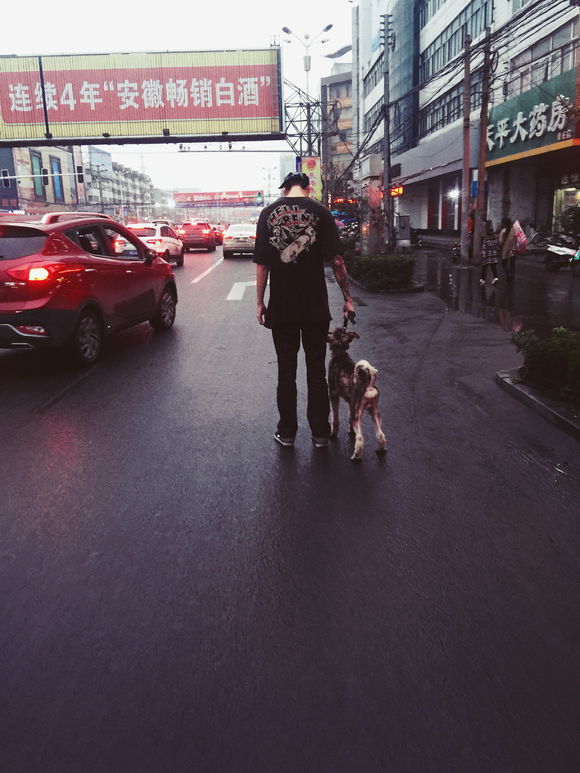 我的阿拉，即使你这辈子不长毛了，我也养你！