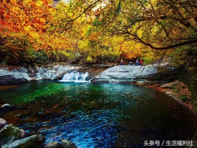 最能代表哈尔滨的图,哈尔滨城市形象符号