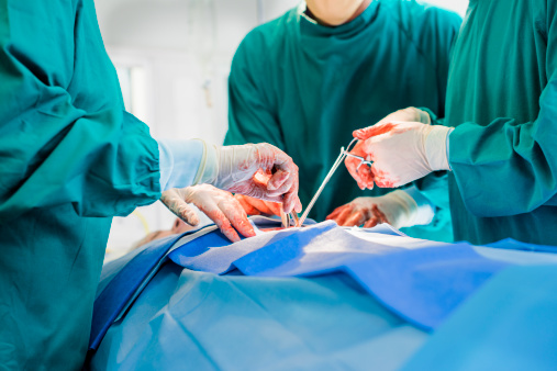 高血脂应该多吃什么血脂降得快,血脂高吃什么能降血脂