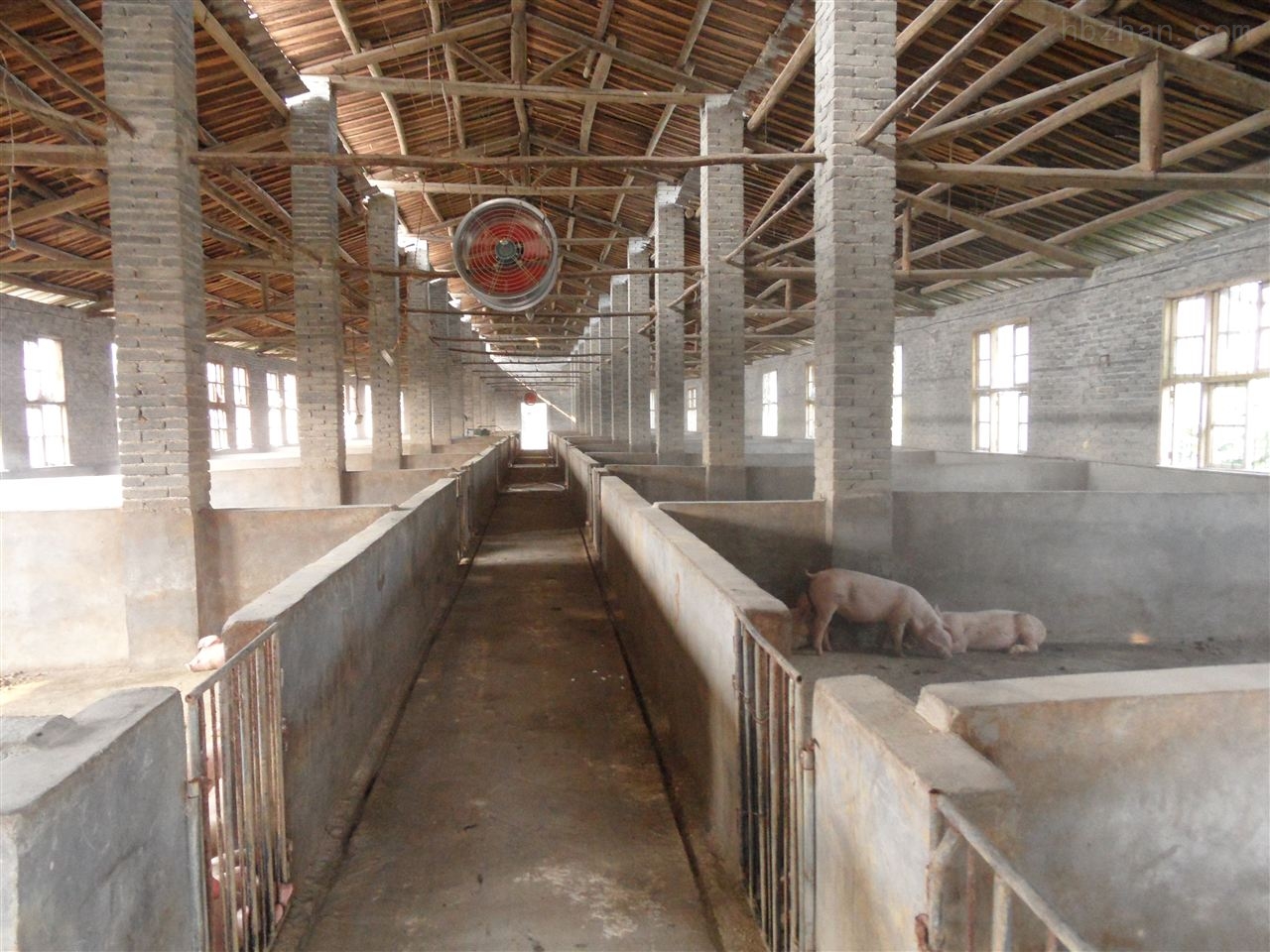 养猪无公害处理,养猪新模式零疫病