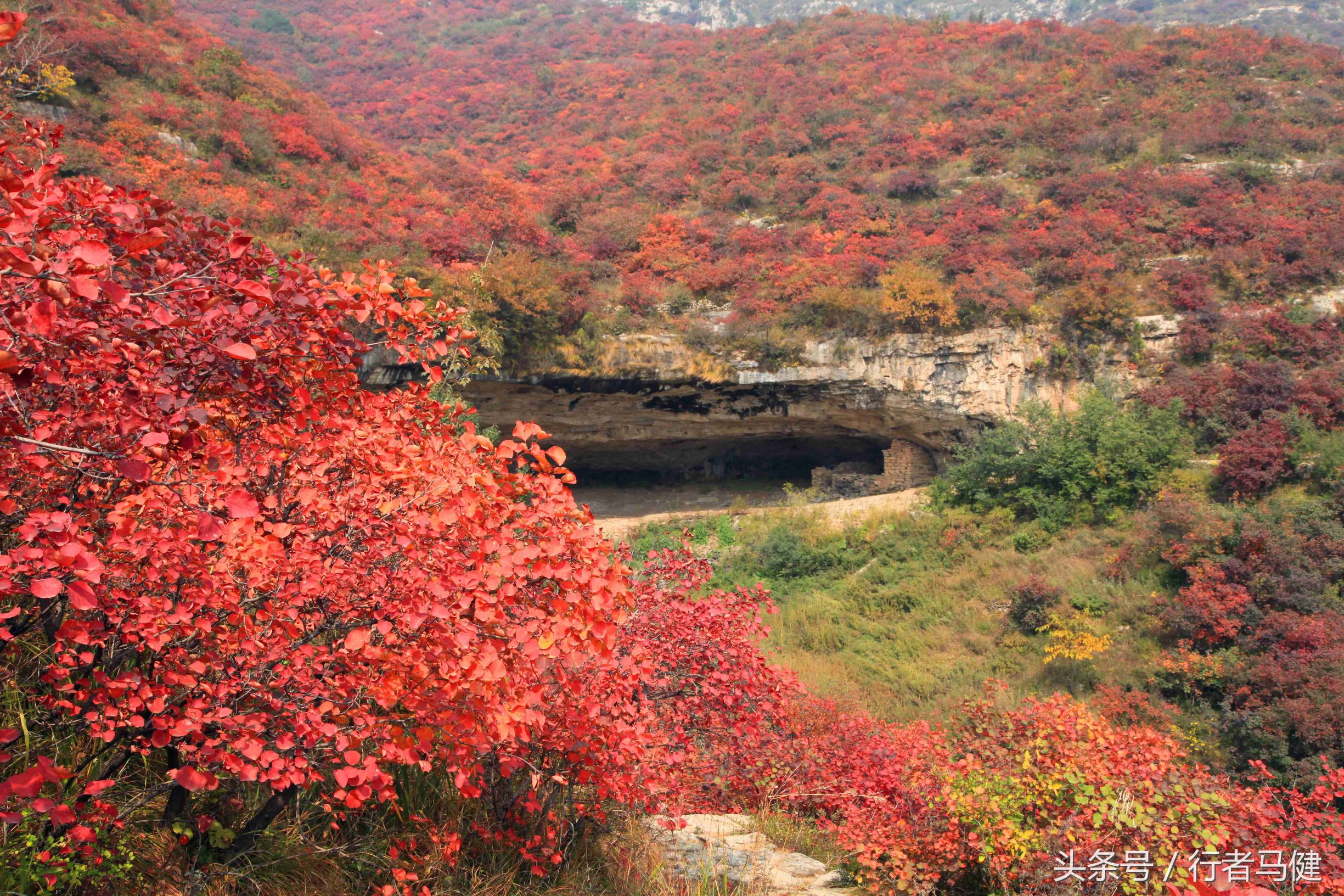 错过了邢台云梦山，太行山最大的红叶区，就相当于错过了整个秋天