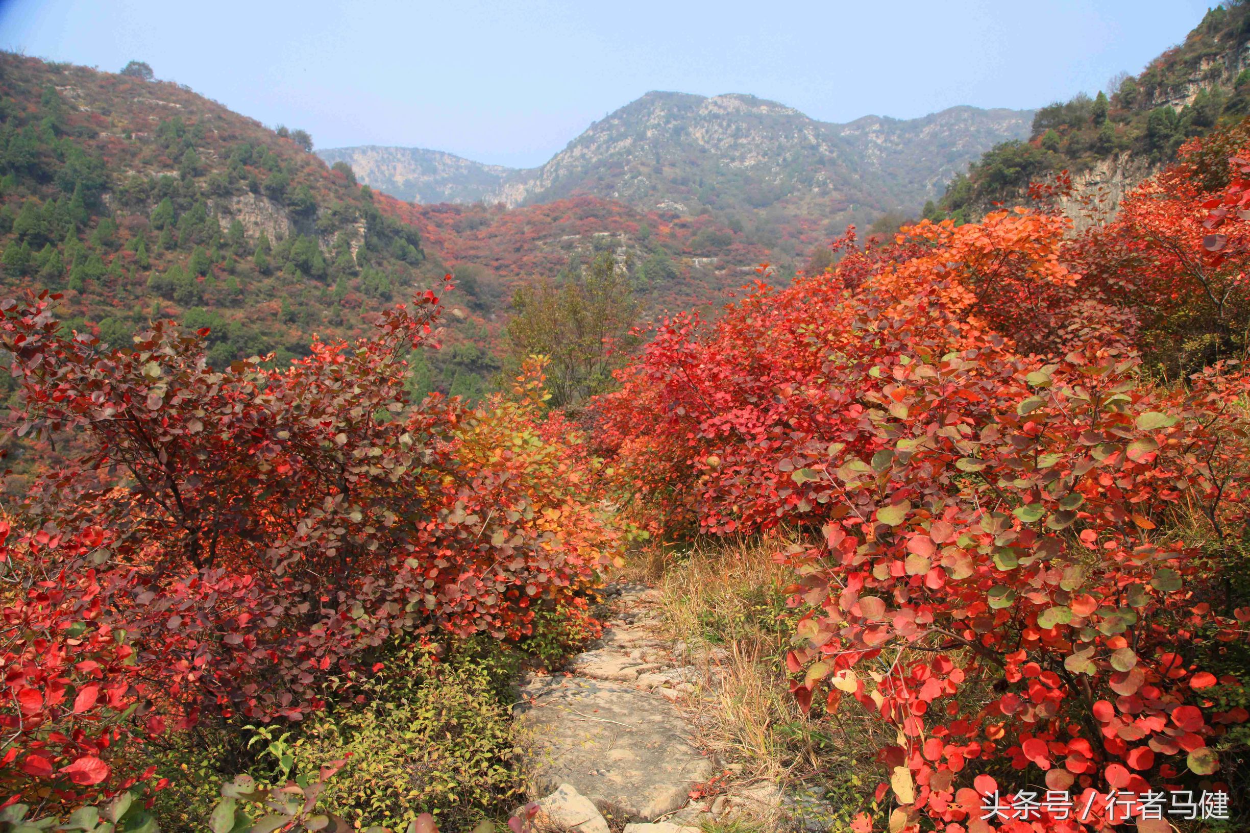 错过了邢台云梦山，太行山最大的红叶区，就相当于错过了整个秋天