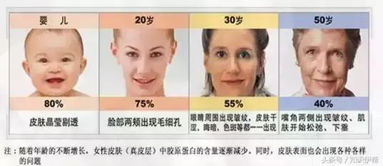 胶原蛋白是什么东西提炼出来的,胶原蛋白是什么