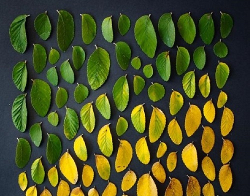 强迫症是什么感觉,强迫症是什么报应