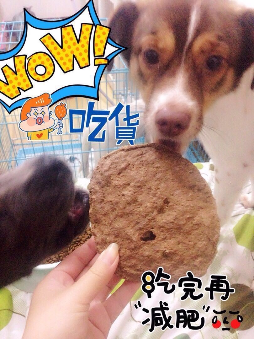 56个中美铲屎官每月花费，对，我就是这么变穷的