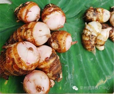 常州有什么特产适合送人,作为一名吃货的必备零食