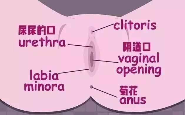 爱她就给她买束花吧语录,爱她就给她买她喜欢的东西文案