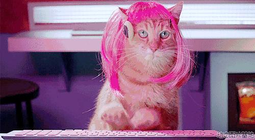 双11是天猫还是淘宝的活动,双11淘宝购物教学