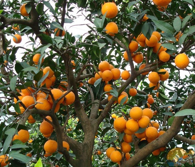 眼部护眼最好的方法,护眼最强眼部保养产品