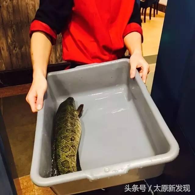 太原短发妹子关注咯！这家火锅3.9折！头发越短！折扣越大！