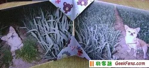 教你折玫瑰千纸鹤,教你折浪漫的樱花球