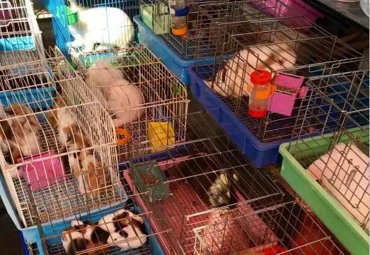 谁做的这本上海生活指南？老结棍了！走遍上海不用愁！