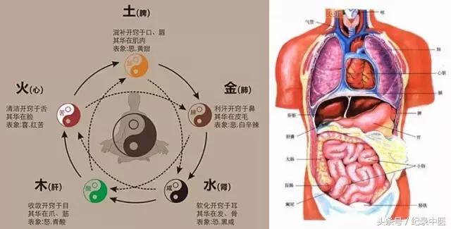 月犁文化讲习所系列讲座|关庆维：中医是生命医学