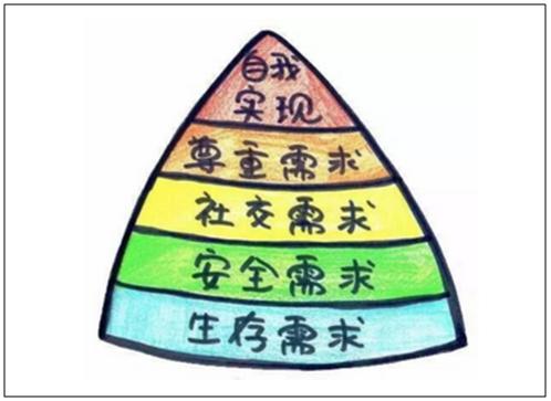 懒癌拯救指南,懒癌生存指南做饭