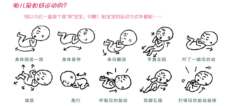 一般多少周可以感受到胎动,胎动一般多少周感觉得到
