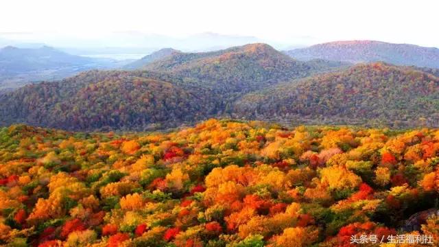 最能代表哈尔滨的图,哈尔滨城市形象符号