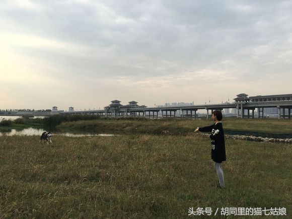 周末带二宝游玩的时光,第一次带二哈出门