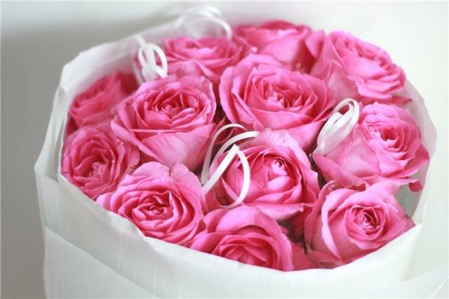 李晨潘玮柏潮流态度,潘玮柏与李晨