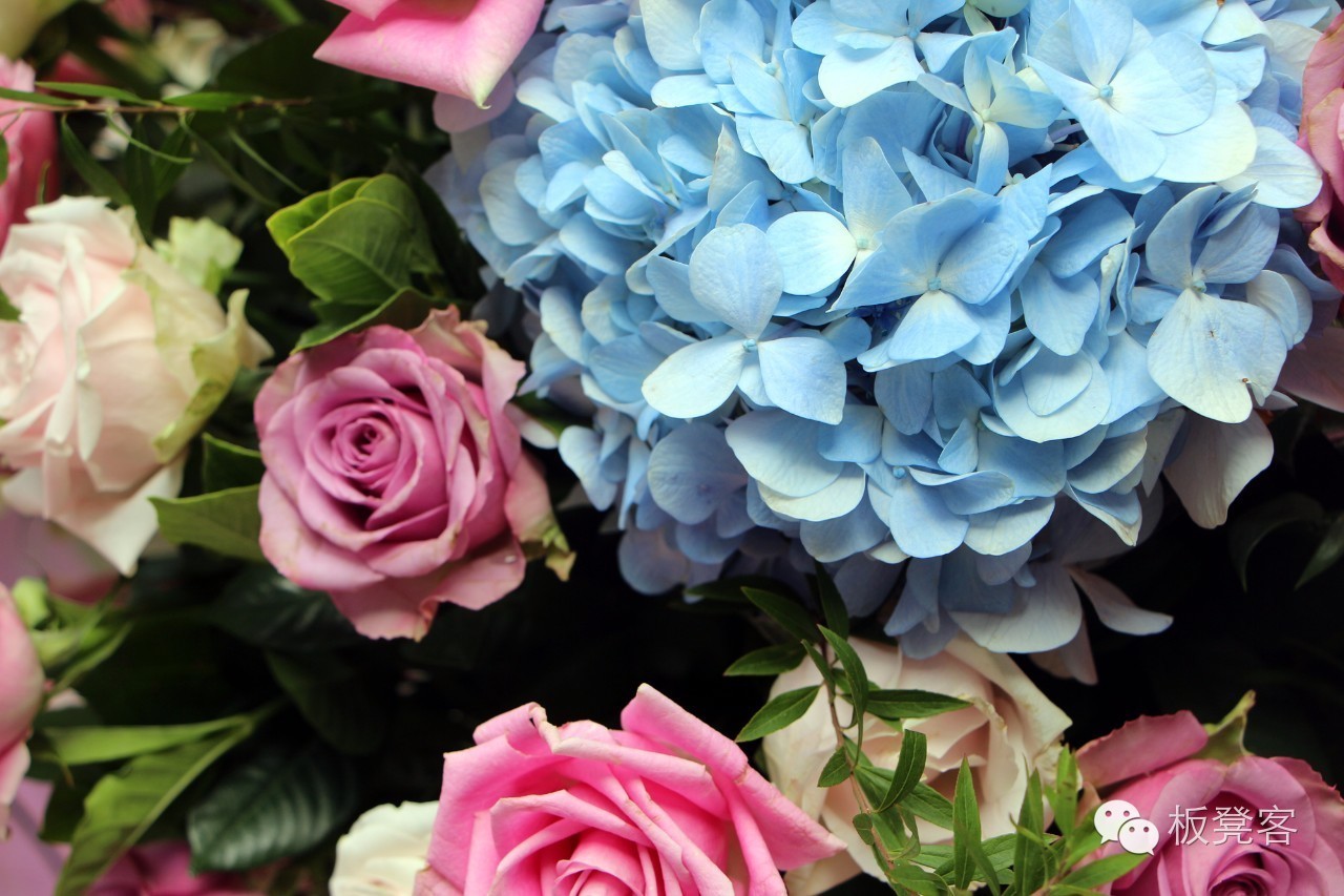 李晨潘玮柏潮流态度,潘玮柏与李晨