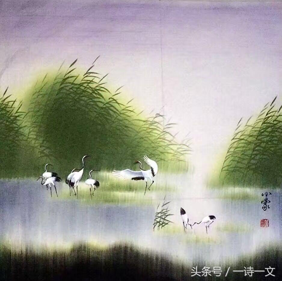 水木诗集|沧海桑田未能遇你我只能和寂寞热恋