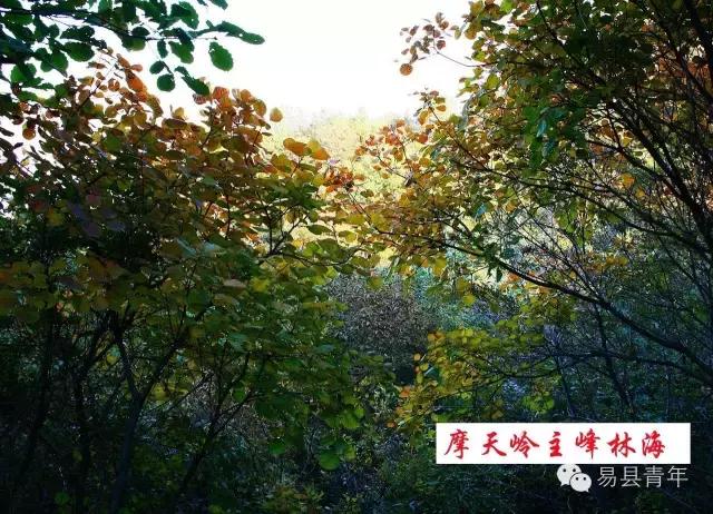 易县蔡家峪风景区有瀑布吗,易县蔡家峪景区人多吗