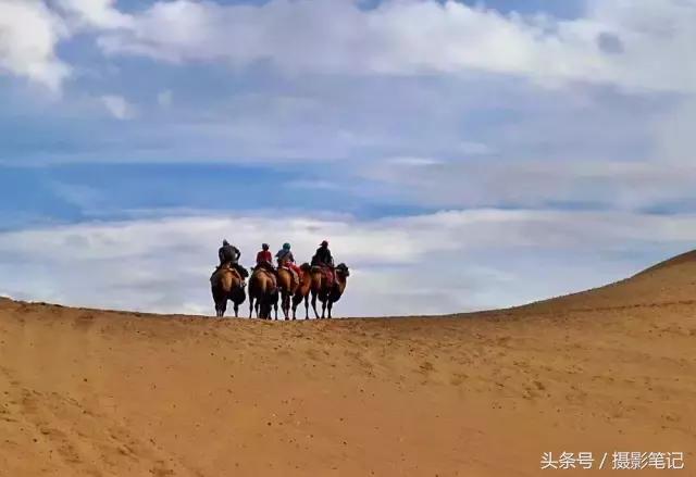 10月摄影笔记照片点评合集