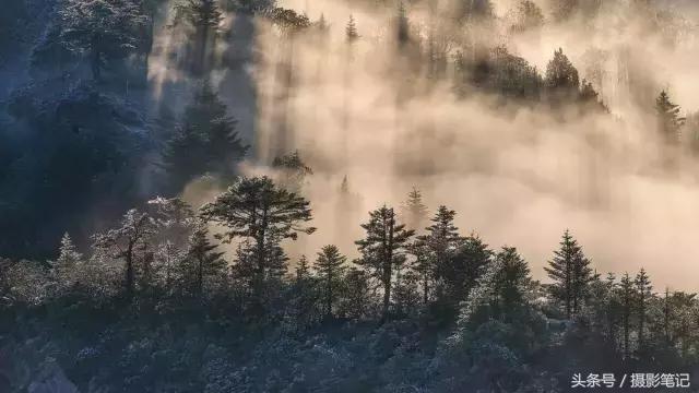 10月摄影笔记照片点评合集