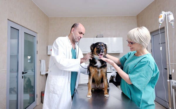 月薪过万十大冷门技术职业,月薪超过10000的十大冷门职业