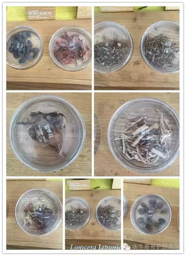 爆料不为人知的秘密,爆料你不知道的秘密