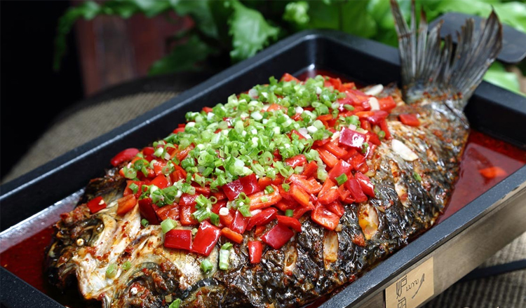 太原都有哪些野生鱼,太原哪个鱼市的鱼最全