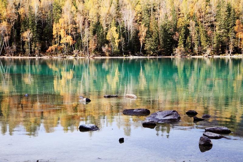 飞鸟集阅读笔记100字,飞鸟集可以写进作文的句子