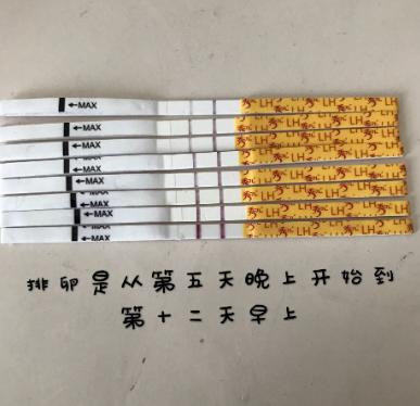 移植2个囊胚后胃不舒服恢复后又开始腰酸背痛