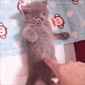 1分钟剥鸡蛋视频,1分钟快速剥鸡蛋方法