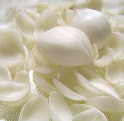 肺不好吃什么水果最养肺,最有效的养肺食疗食谱分享