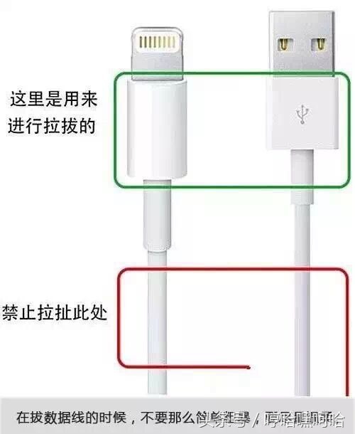 iphone数据线咬坏了可以换新的吗,ipadpro数据线坏了能换新吗
