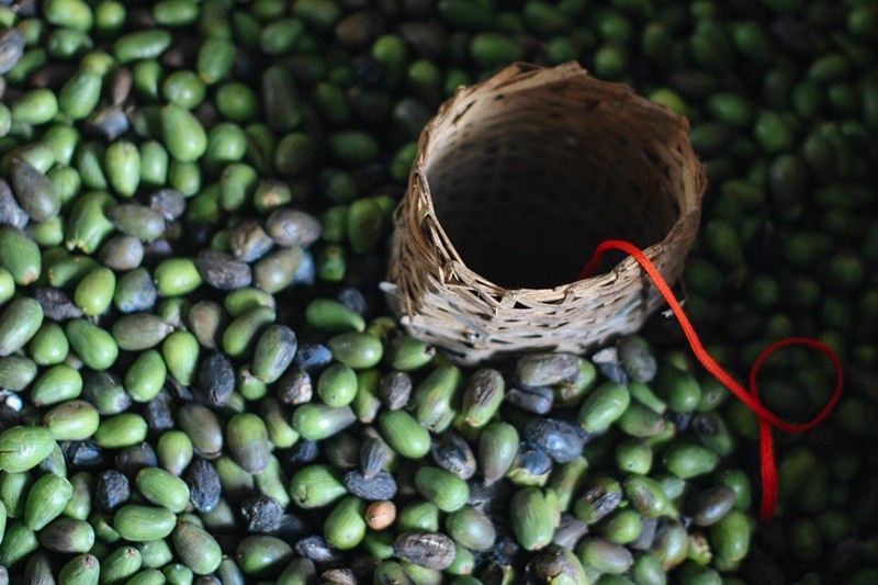 怎么吃香榧简单,香榧是圆榧好还是尖榧好