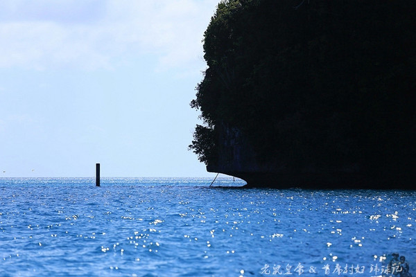 彩虹王国美术作品,彩虹王国紫色
