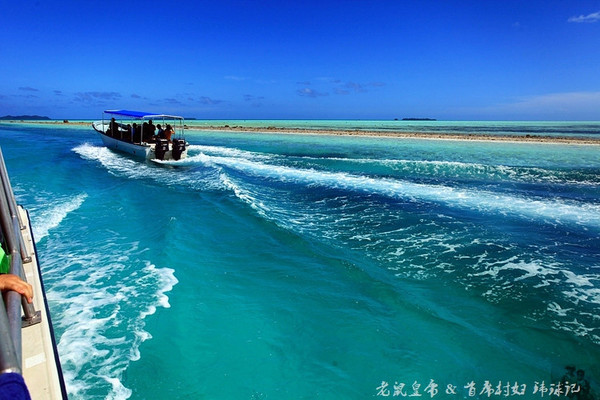 彩虹王国美术作品,彩虹王国紫色