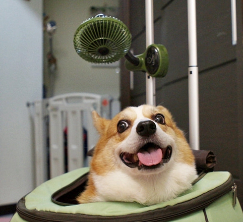 捞干货|渣男第一名：妈妈fan！我们把他抓出来你记得远离他