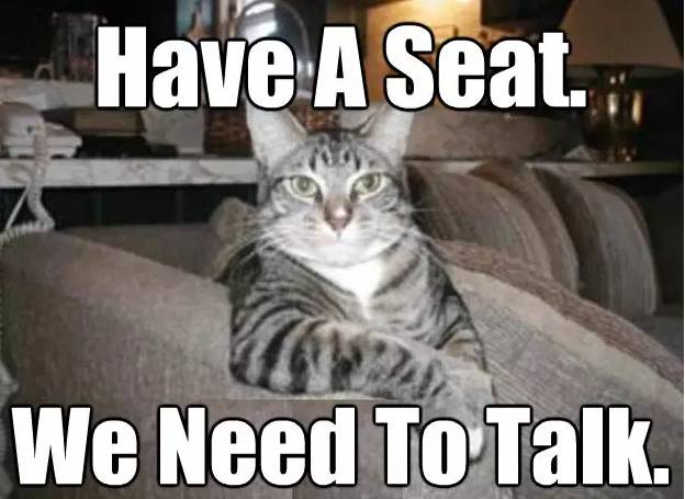 opt延期通过率,opt延期被拒后申诉