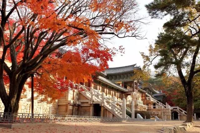 过去与现在的遇见,过去与未来的邂逅