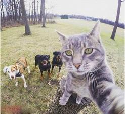 如何在最短的时间迁移360云盘数据？小编有妙招