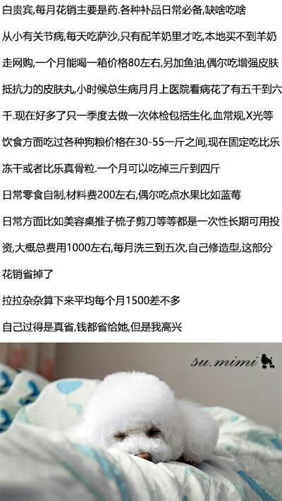 56个中美铲屎官每月花费，对，我就是这么变穷的