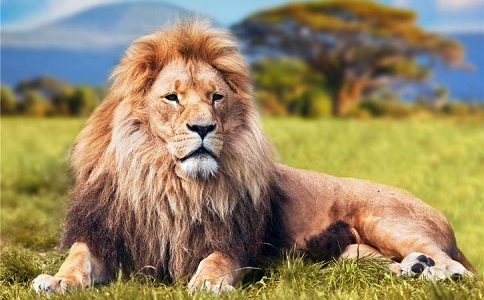 学投资必看入门书,每天必读的10个投资技巧