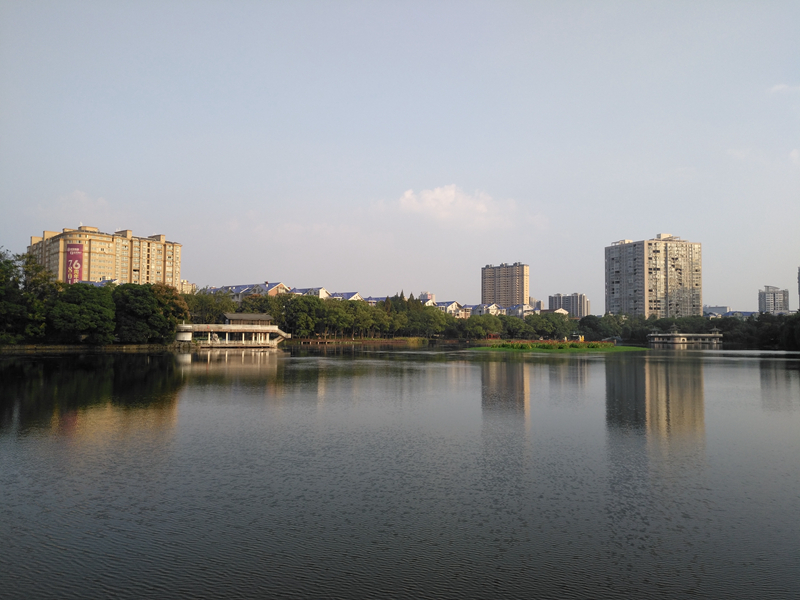 华为手机麦芒5评测,华为麦芒五升级鸿蒙