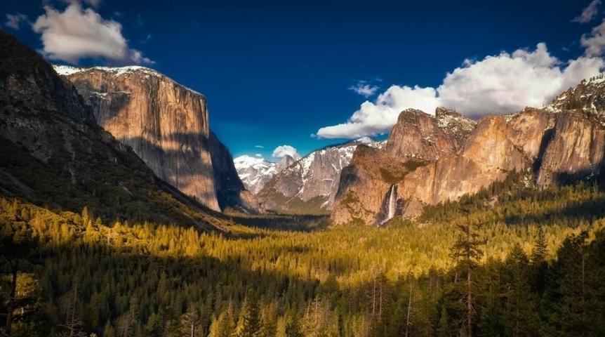 飞鸟集阅读笔记100字,飞鸟集可以写进作文的句子