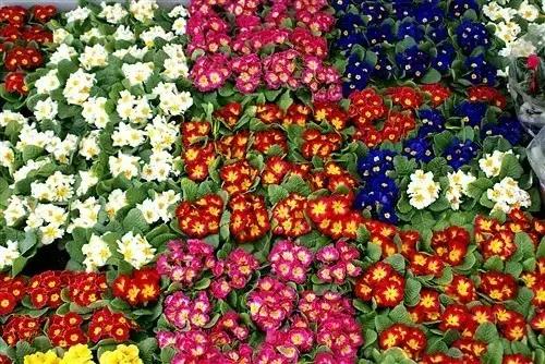 谁做的这本上海生活指南？老结棍了！走遍上海不用愁！