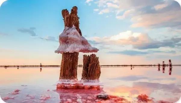 被人入侵了怎么处理,被别人入侵边界怎么办