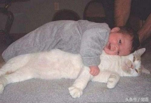 宠物去世了要怎么和孩子说,宠物死亡对孩子的影响